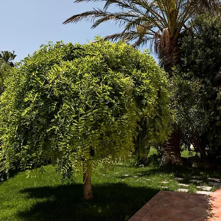 Costanza Modica